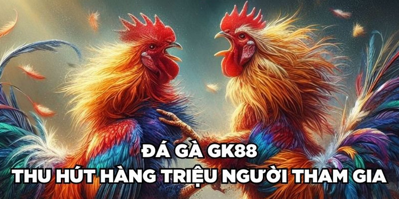 Đá gà GK88 có hình ảnh, chất lượng Full HD